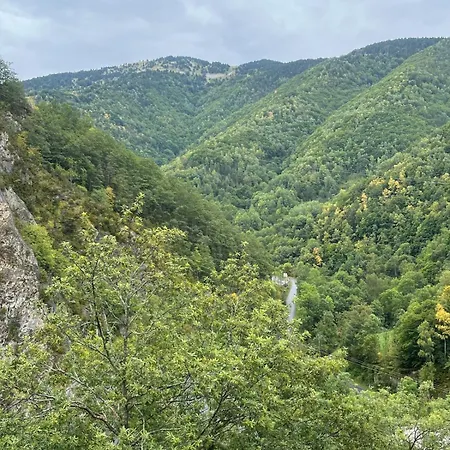 Refuge Nature Avec Vue Panoramique La Preste Appartamento Prats-de-Mollo-la-Preste
